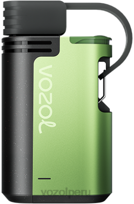 VOZOL GEAR 4000c/6000 hielo de sandia - Vozol Vape Flavors 44BNP329