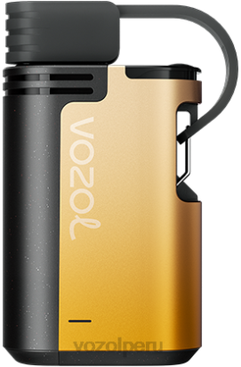 VOZOL GEAR 4000c/6000 kiwi maracuyá guayaba - Vozol Vape Recargable 44BNP326