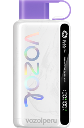 VOZOL STAR 9000/12000 bayas mixtas - Vozol Vape Recargable 44BNP26